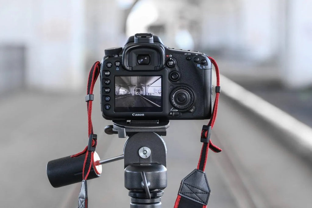 RICS Level 2 Survey + Professional Photography Service