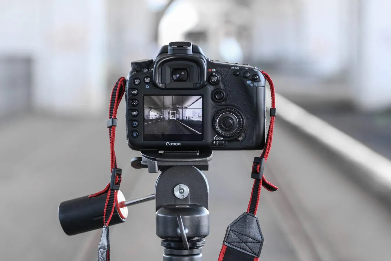 RICS Level 2 Survey + Professional Photography Service